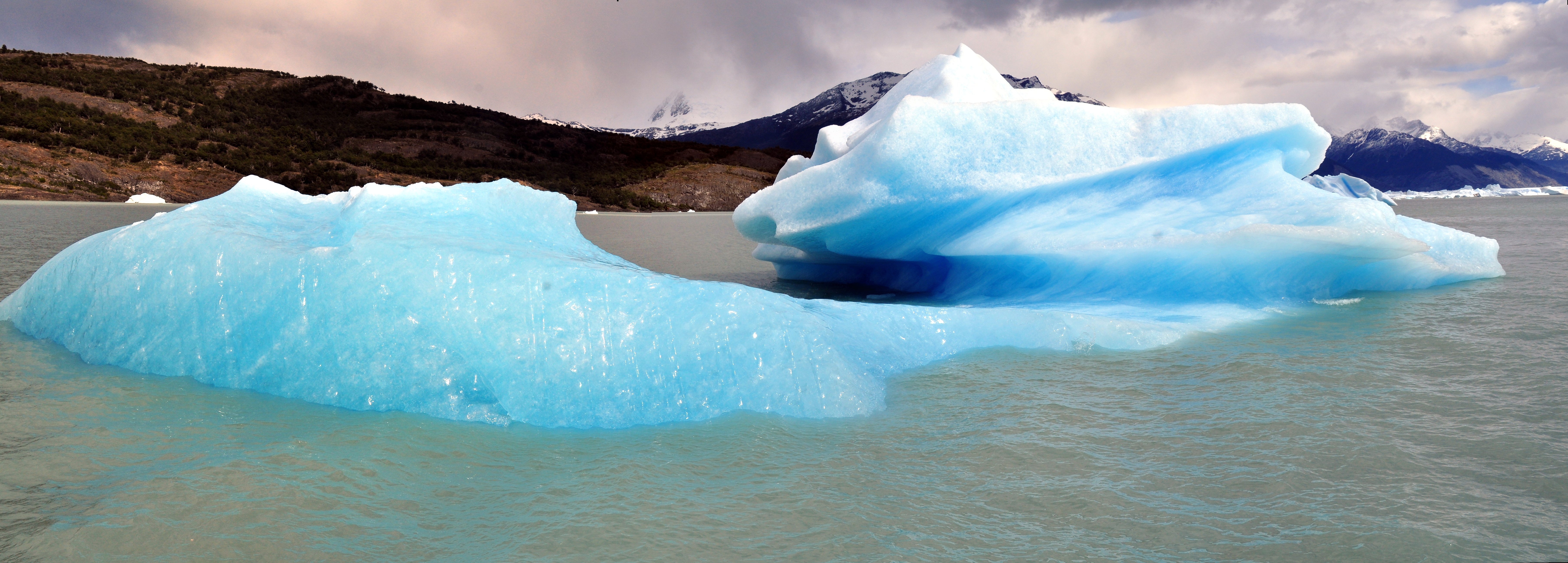 argentina-el-calafate-20100205-027-lago-argentina-glaciers-upsala-glacier-and-icebergs