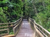 argentina-foz-iguazu-20100211-077-iguazu-falls-argentine-side