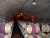 argentina-mendoza-20100127-011-alta-vista-wine-yard