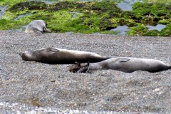 Argentina - Puerto Madryn