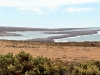 argentina-puerto-madryn-20100130-067-peninsula-valdez