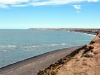 argentina-puerto-madryn-20100130-068-peninsula-valdez