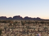 australia-20090505-066-kata-tjuta-olgas.jpg