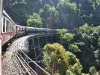 australia-20090428-002-cairns-skytrain.jpg