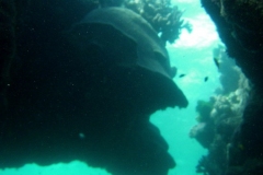 Australia - Great Barrier Reef I