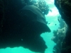 australia-20090502-d02-003-cairns-liveaboard-swimthrough.jpg