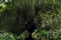 Belize - ATM Cave