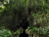 belize-20100106-073-san-ignacio-actun-tunichil-muknal-atm-cave