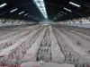 china-20090716-049-xian-terra-cotta-warriors.jpg