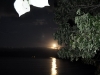 fiji-20090608-012-vanau-levu-dolphinbaydivers.jpg