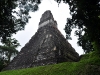 guatemala-20100107-004-tikal-maya-ruins