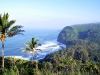 hawaii-20091203-024-big-island-west-north-pukolo-point