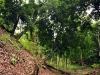 honduras-copan-ruinas-maya-site-006