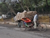 delhi-20090329-0003.jpg