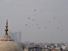 delhi-20090329-0027.jpg