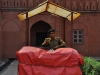 delhi-20090329-0035.jpg