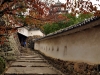 japan-20091119-023-himeji-himeji-castle