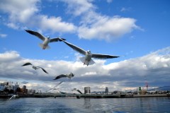 Japan - Hiroshima