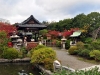 japan-20091118-028-kyoto-shinsen-en-garden