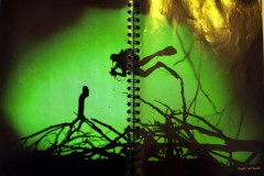 Mexico - Playa Del Carmen Cenote Diving