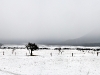 new-zealand-20090703-panorama-paradise.jpg