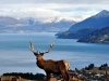 new-zealand-20090704-039-queenstown-deer-park-heights-lotr.jpg