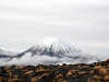 new-zealand-20090627-134-taupo-tongario-national-park.jpg