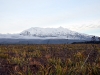 new-zealand-20090627-149-taupo-tongario-national-park.jpg